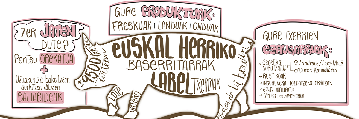 BASATXERRI balio-kate osoko agenteekin elkartu da Baserriko Txerri Ziurtatuaren hobekuntza-prozesu bat abiarazteko